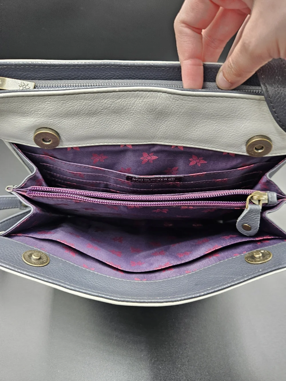 Anuschka Gray Crossbody with Colorful Floral Lion Motif